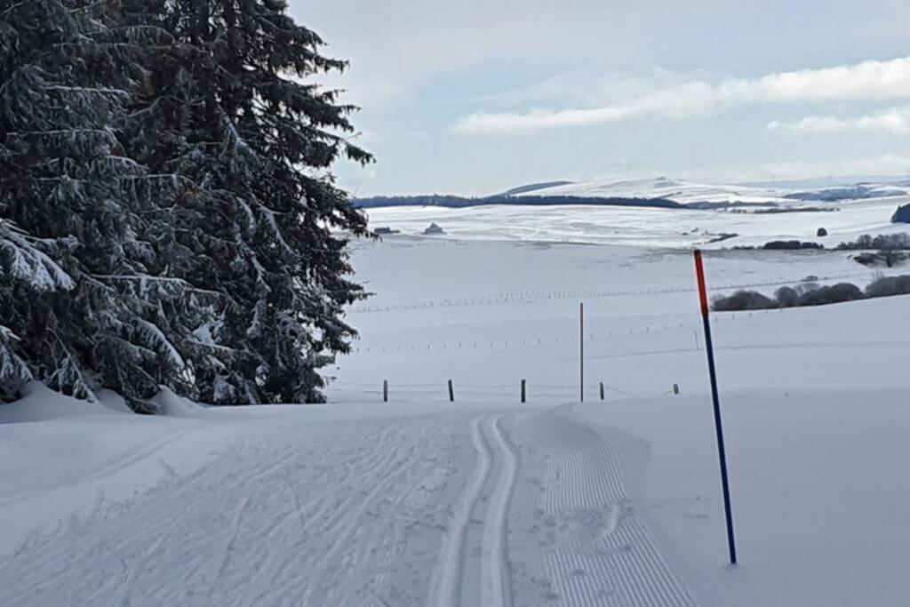Appartement 6 Personnes Au Coeur De Super Besse Buitenkant foto